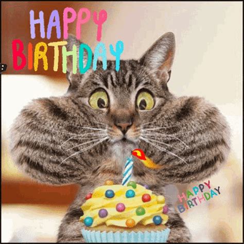 happy-birthday gif|Happy Birthday Gif GIFs